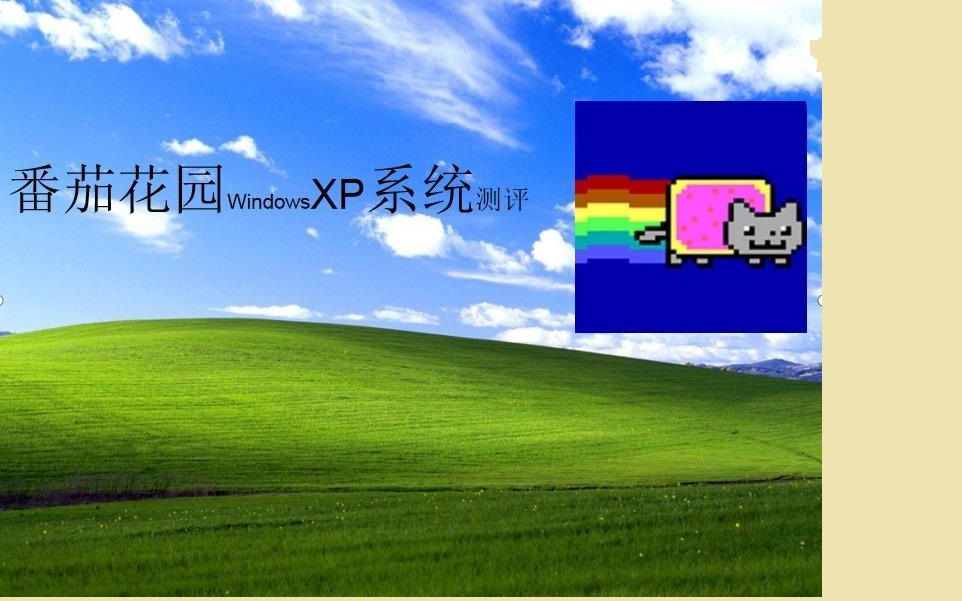 系统之家番茄花园XP测评哔哩哔哩bilibili