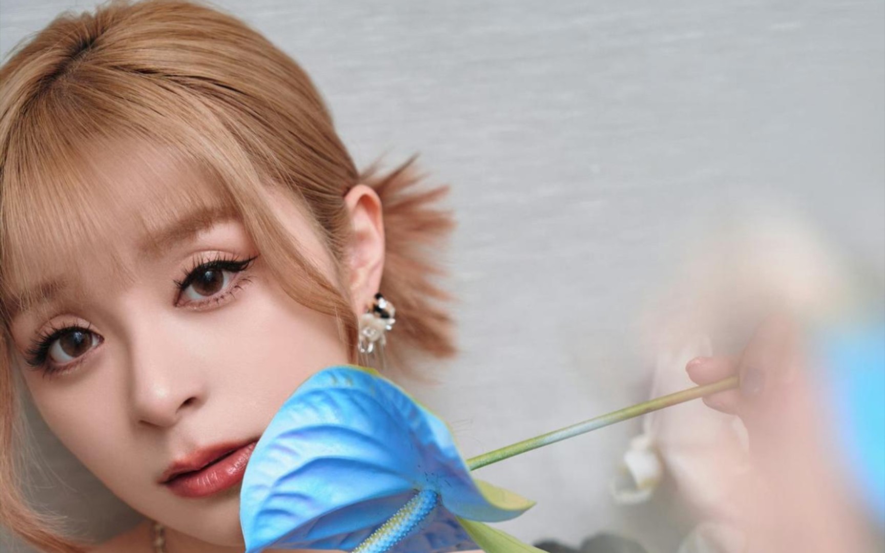 美依礼芽带(极乐净土)五大神曲,你听过几首?