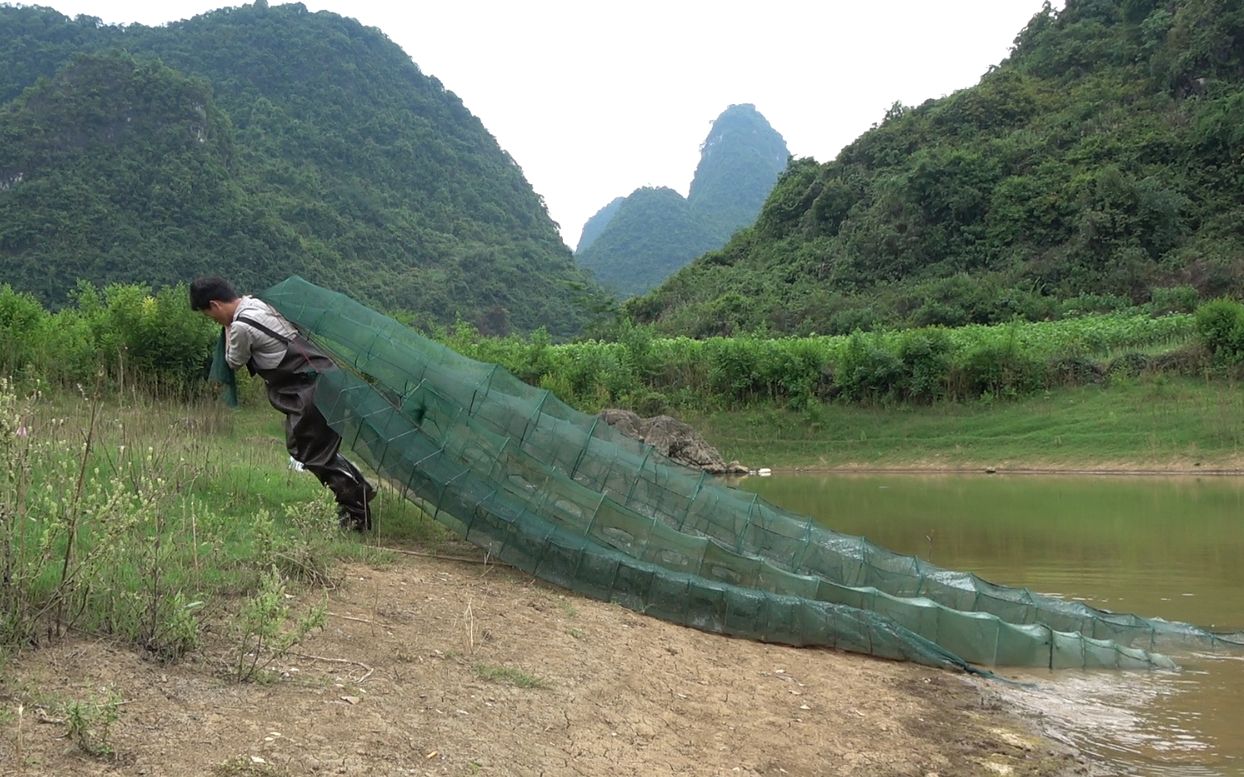 偏僻大山里有条河,小莫放6个特长地笼,拉起网时高兴坏了
