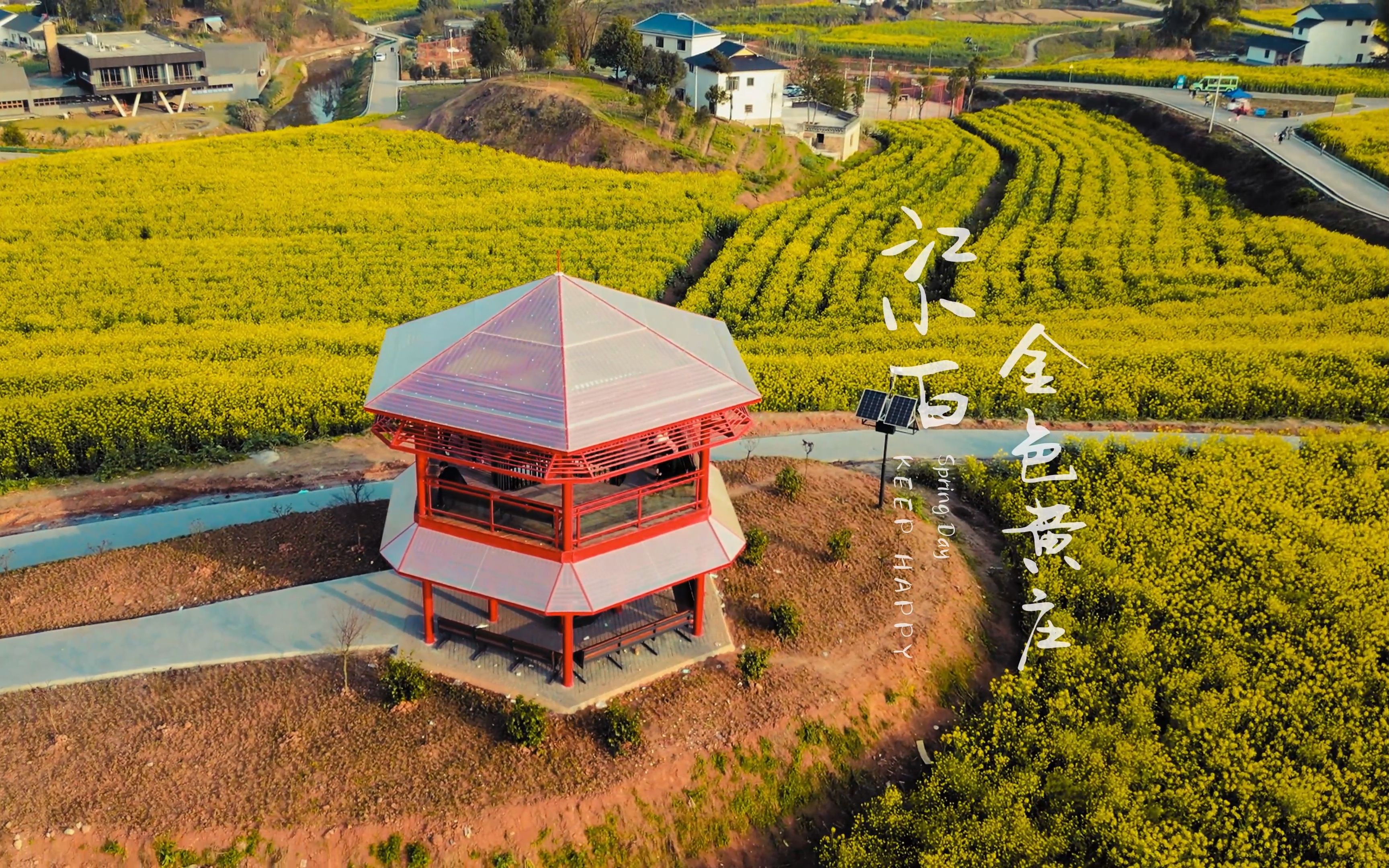 一田金黄 一面春光 | 重庆5万亩油菜花海 | 江小白金色黄庄 | eos r5