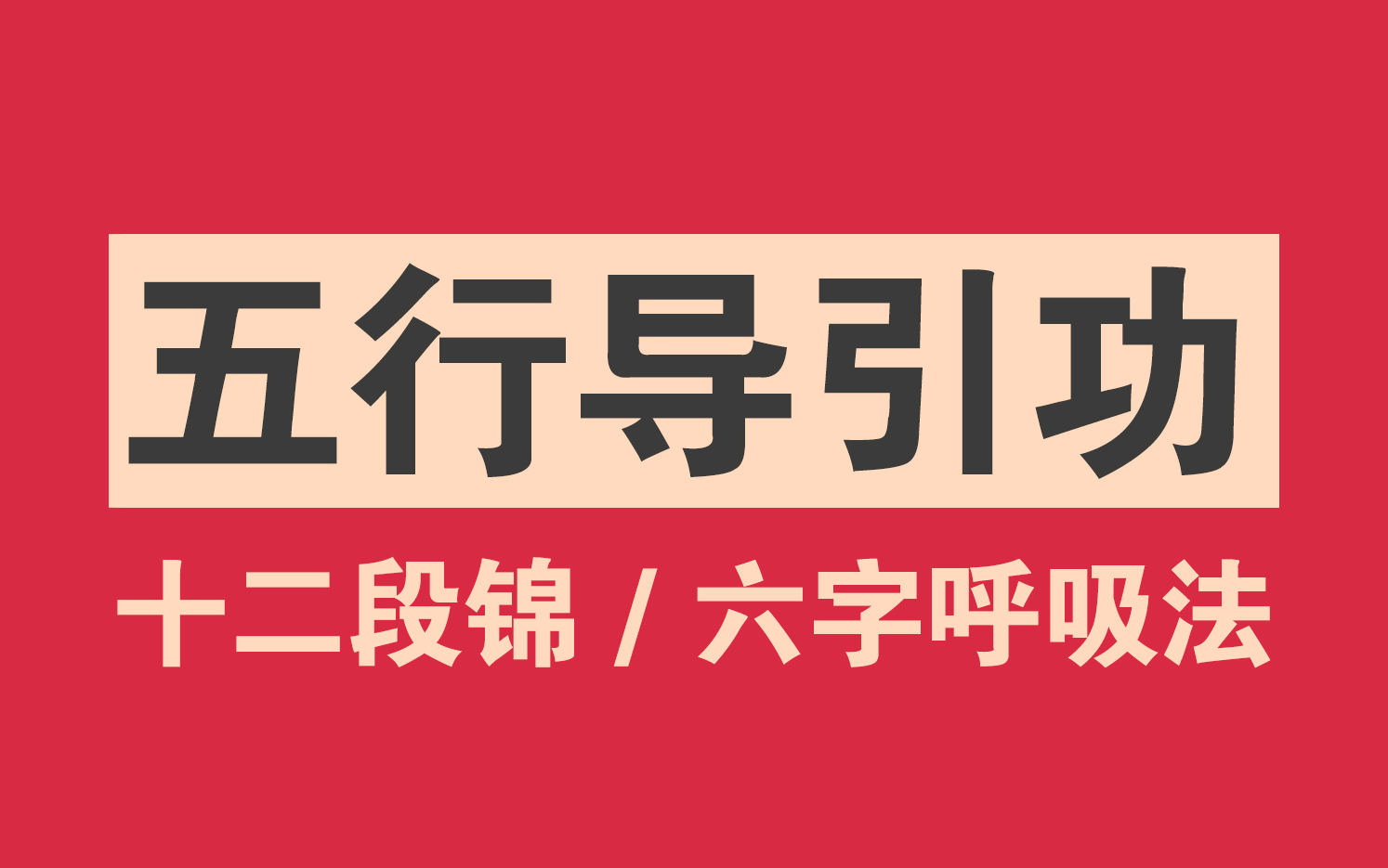 李在峰十二段锦教学版全套9至12段跟练视频,五行导引功龟形龙形鹤形虎形蛇形完整版教学哔哩哔哩bilibili