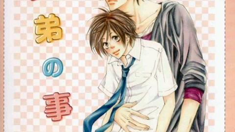 Drama评论附翻译】兄弟の事情(日野聡×下野紘)_哔哩哔哩_bilibili