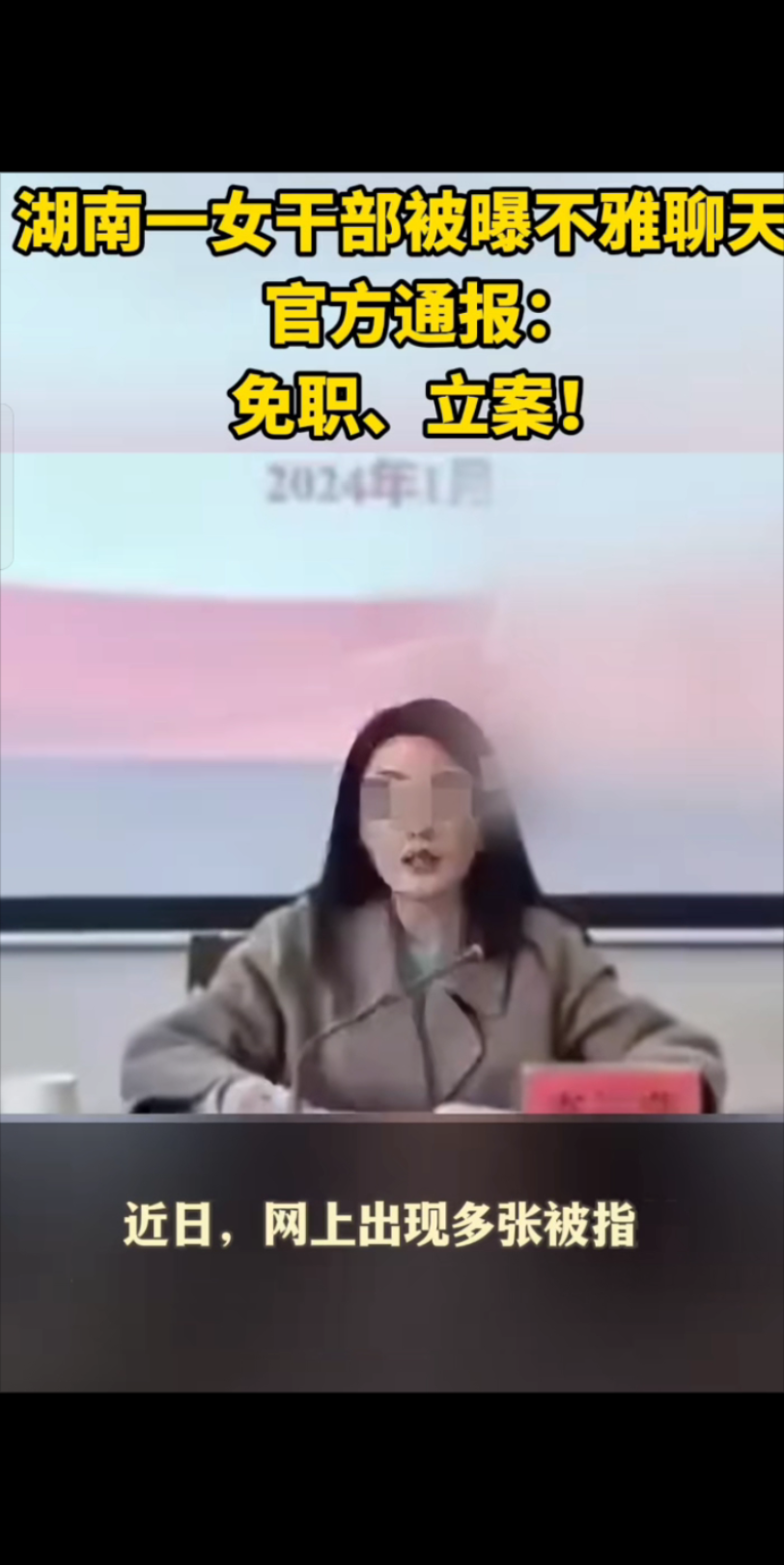 湖南一女干部不雅聊天曝光哔哩哔哩bilibili