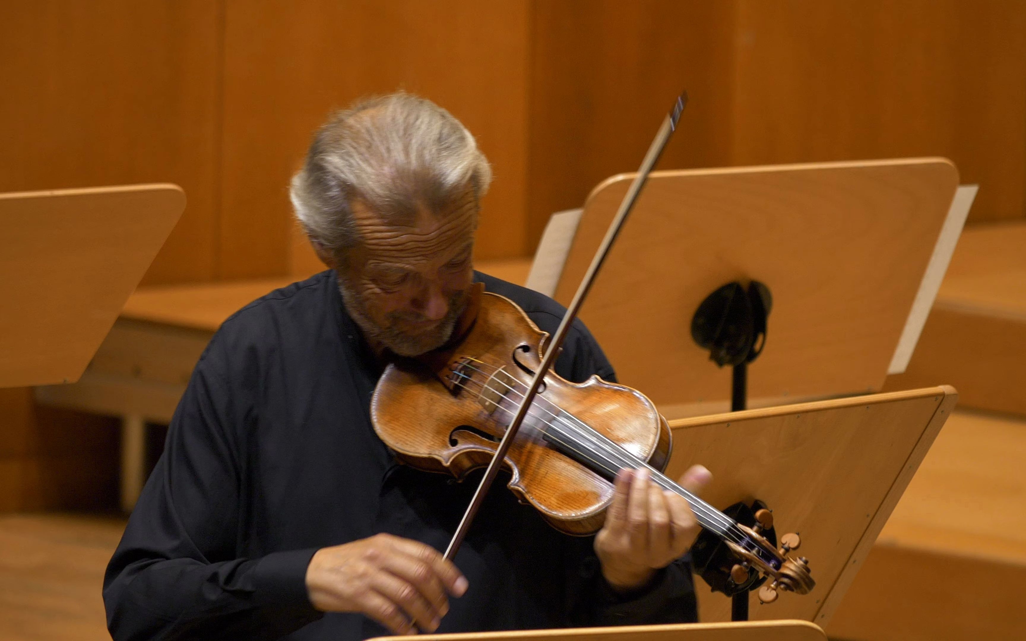 【维瓦尔第】d大调小提琴协奏曲 rv 230|4k_哔哩哔哩_bilibili