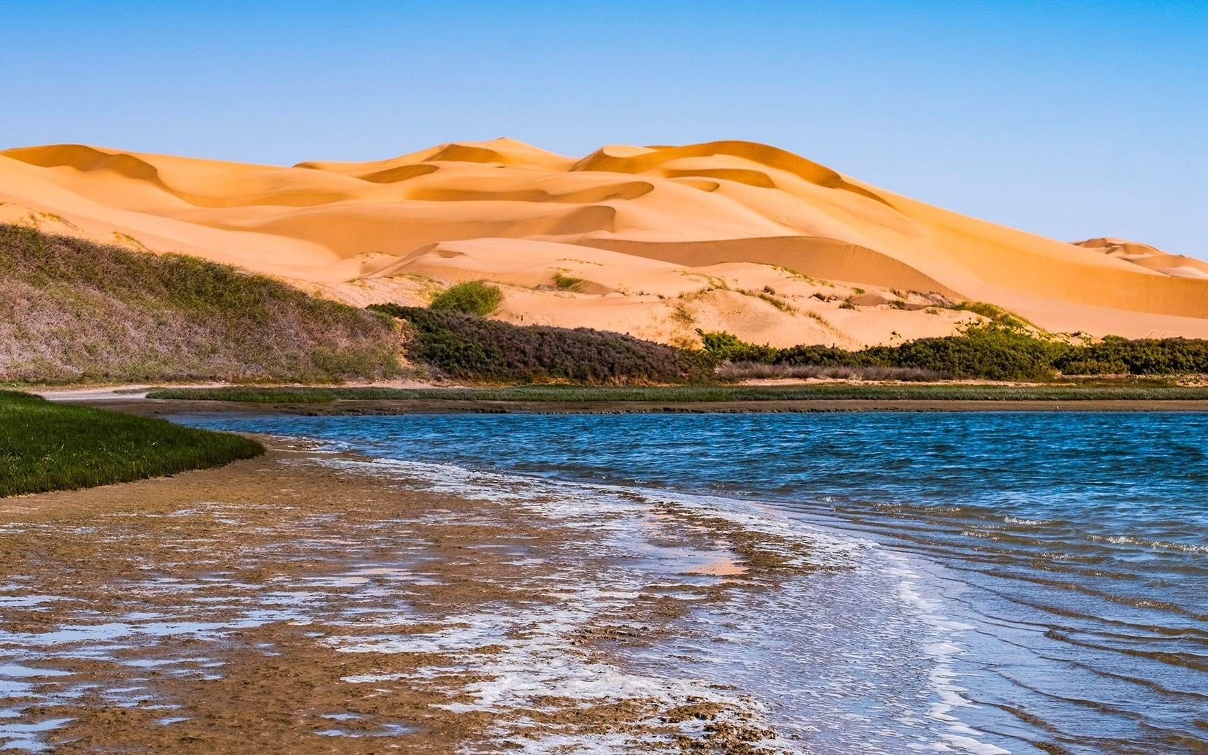 沙海相迎,海沙交响 | 纳米比亚,三明治湾的环礁湖和沙丘(08 susanne