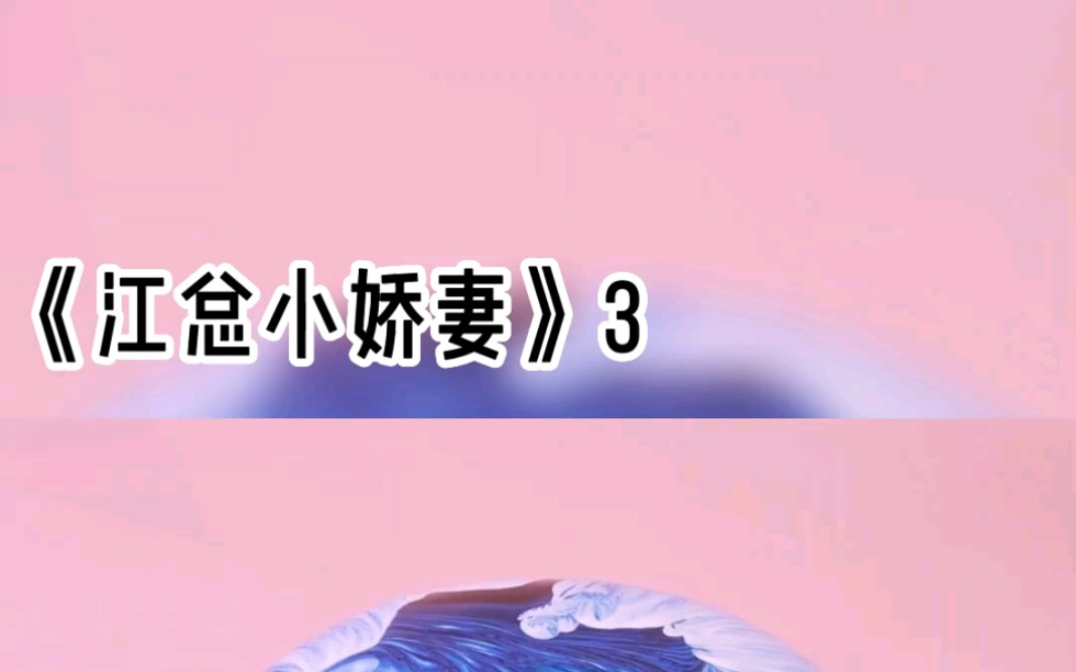 江总小娇妻3 #小说哔哩哔哩bilibili