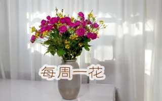 新年插花 搜索结果 哔哩哔哩 Bilibili