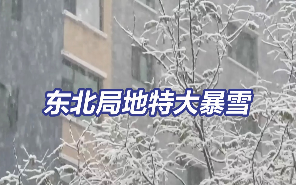 东北局地特大暴雪 应急管理部部署防范哔哩哔哩bilibili