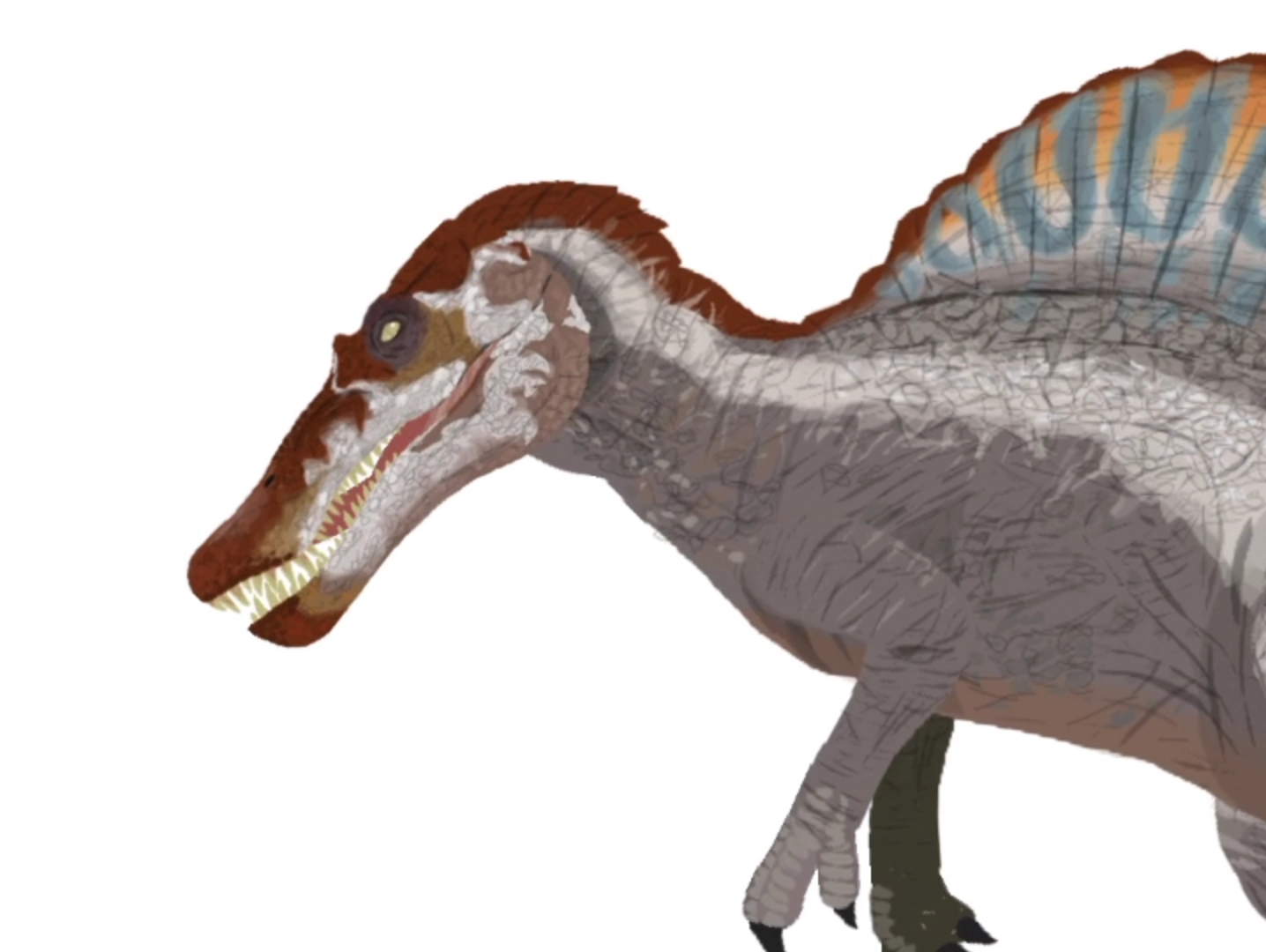 战神棘龙杀疯了