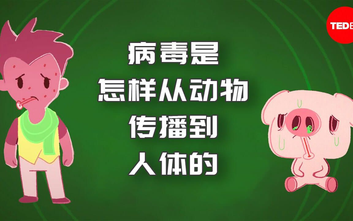 【科普知识】5分钟了解动物病毒如何传染到人,最终导致病毒爆发的!