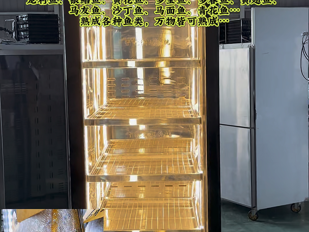 熟成鱼/干式熟成深海鱼/熟成三文鱼刺身/熟成蓝鳍金枪鱼/熟成柜/熟成