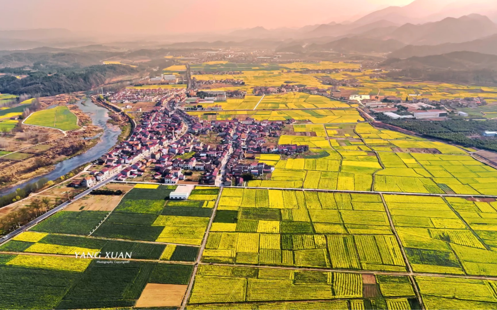 远安又迎来油菜花最美的季节 宜昌油菜花花海开了