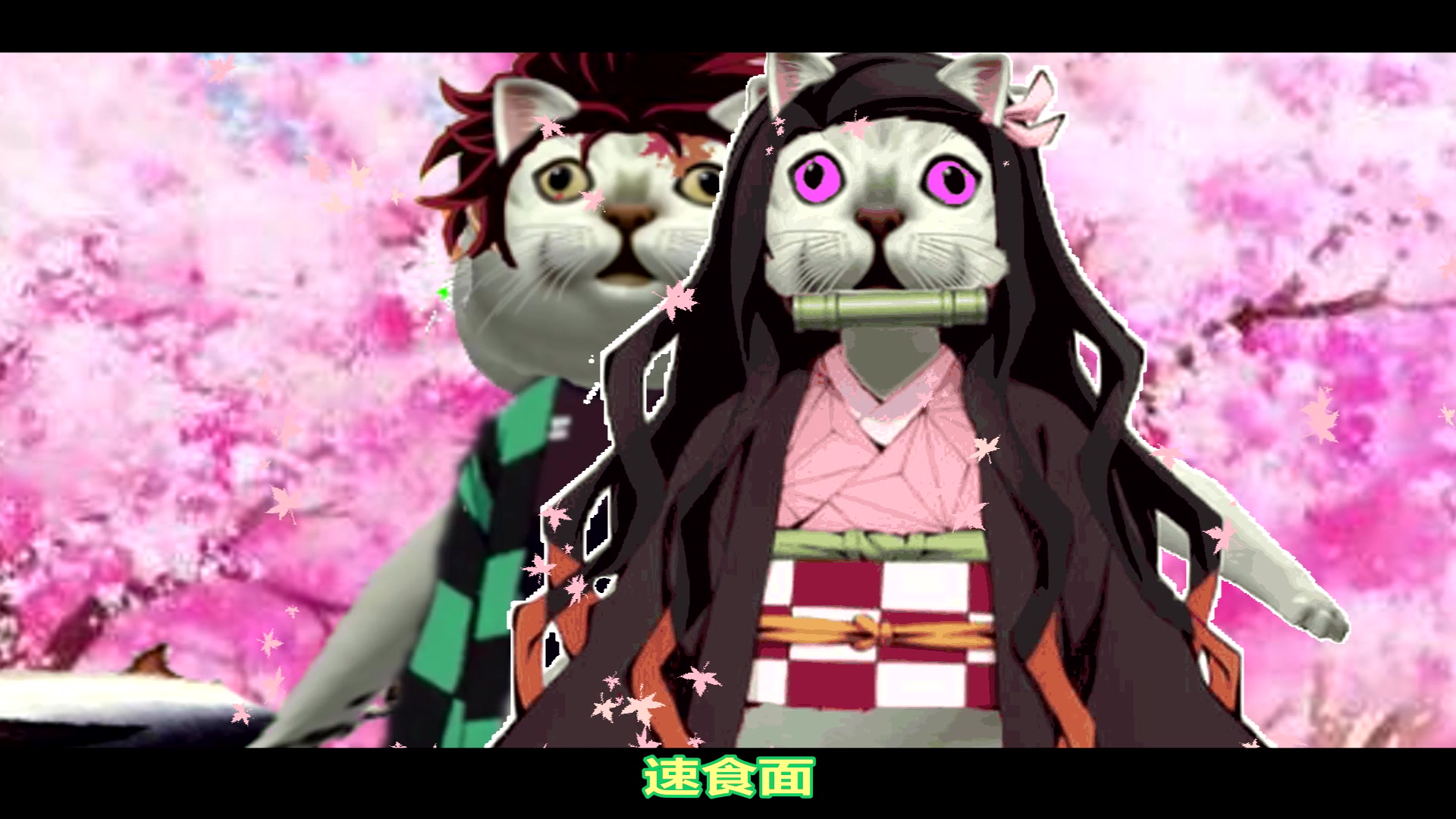 鬼 猫 ω 刃_哔哩哔哩_bilibili