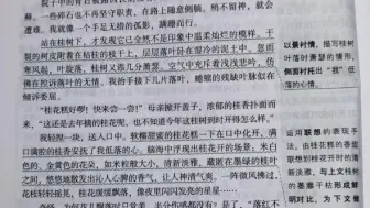 枯木逢春只是暂时的 再次的风霜依然会打落那仅存的春#图文新星计划 #作文 #知识推荐官