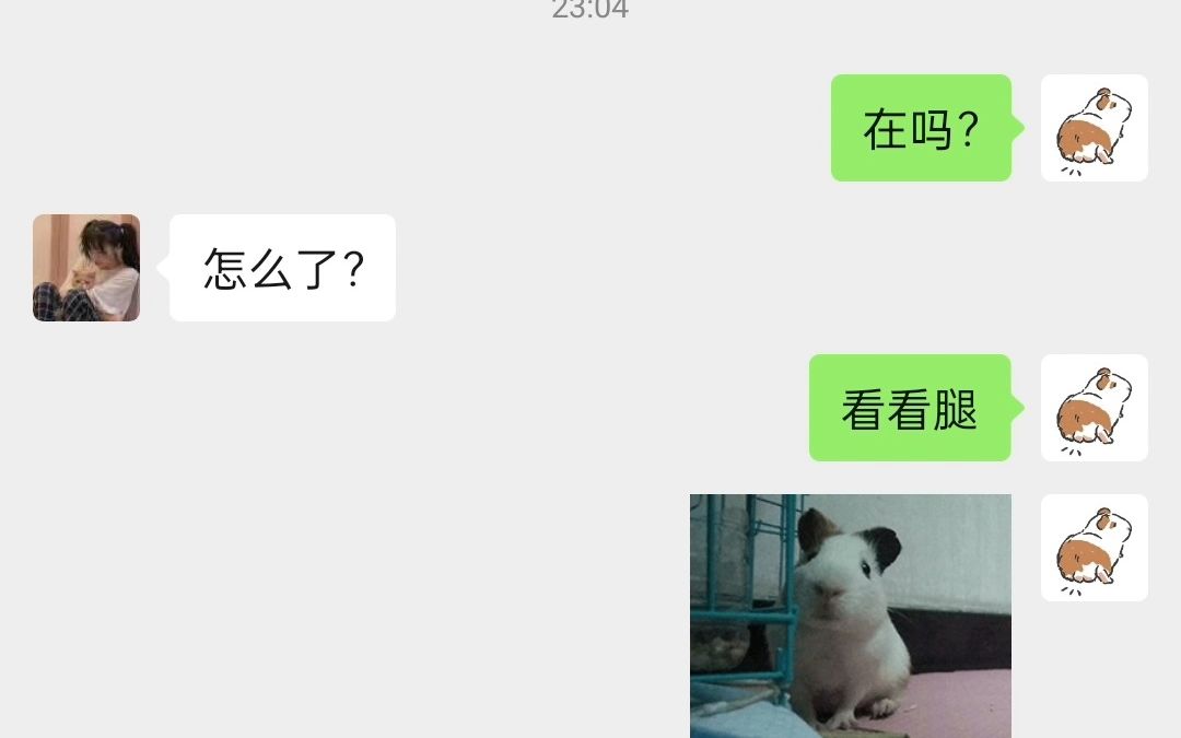 看看腿?哔哩哔哩bilibili