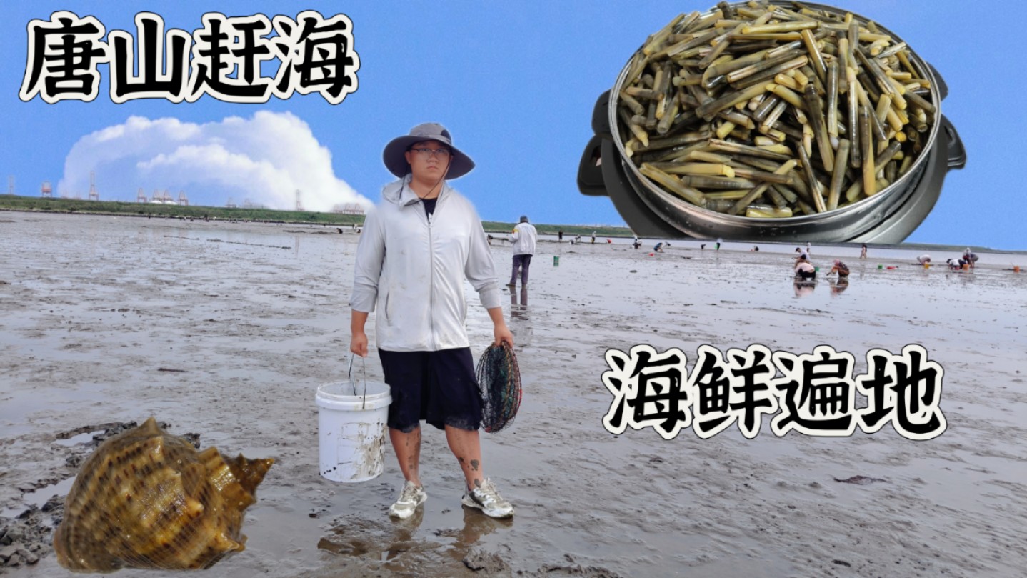 曹妃甸赶海蛏子可以捡到手软,水里还藏着螃蟹和猫眼螺!哔哩哔哩bilibili