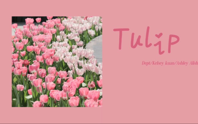 [图]『日推歌单』 英文/无前奏小众温柔女声/Tulip