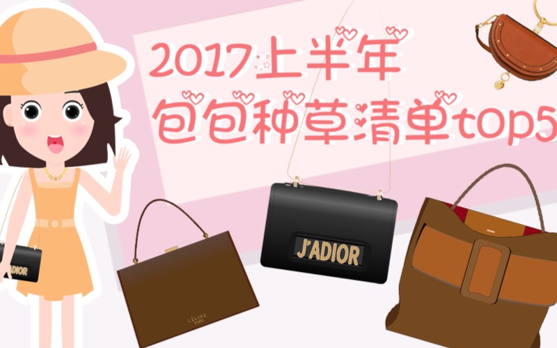 2017上半年必买包包清单TOP5哔哩哔哩bilibili