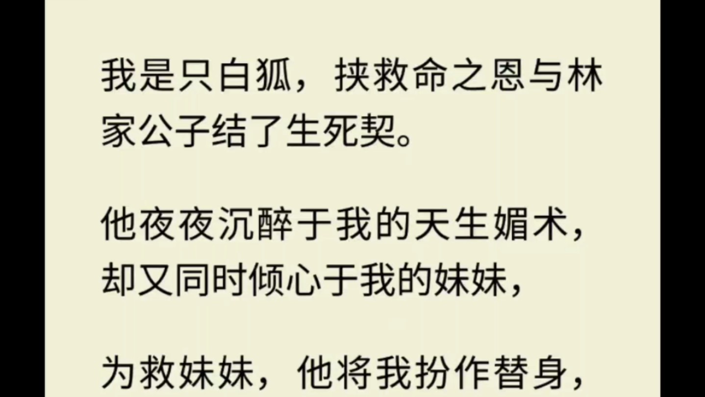 我是只白狐,挟救命之恩与林家公子结了生死契.哔哩哔哩bilibili