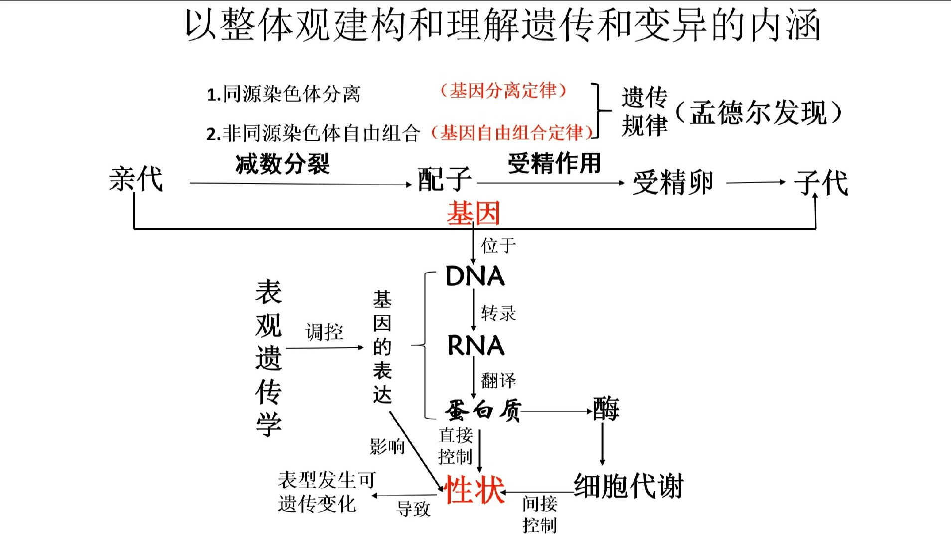 小伙伴们,今天带你们从整体观理解遗传和变异