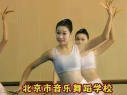 Video herunterladen: 北京市音乐舞蹈学校傣族长甲组合片段随拍