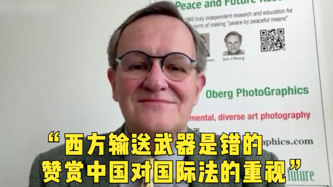 言之有理|欧洲学者:西方输送武器是错的 赞赏中国对国际法的重视哔哩哔哩bilibili