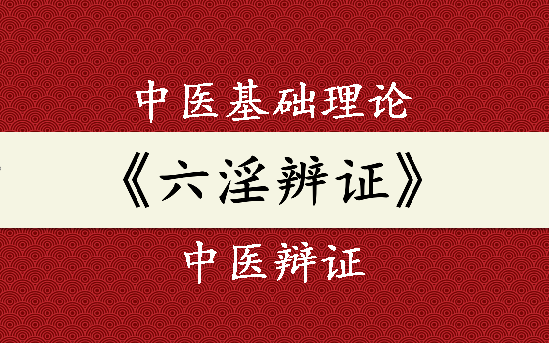 【中医】《六淫辨证》中医基础理论系列教程(6集全)哔哩哔哩bilibili