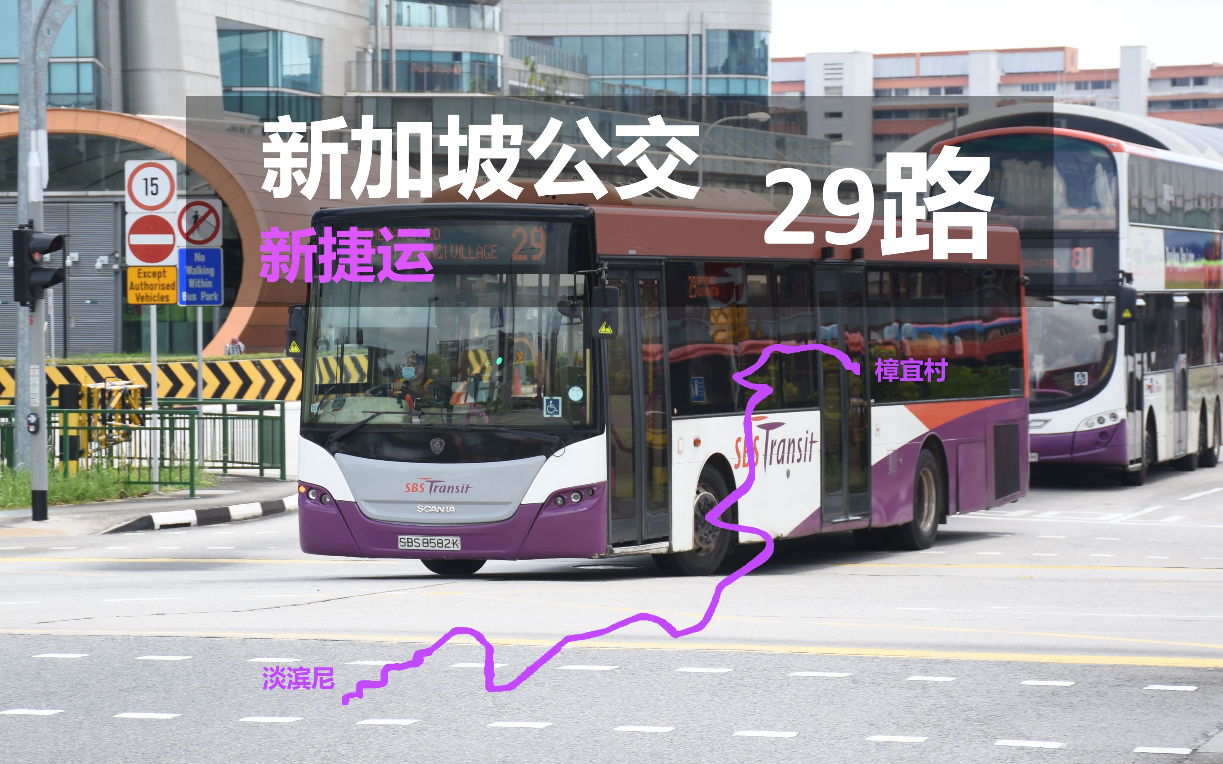 【应该,大概,或许算是郊线?】新加坡公交29路 淡滨尼66樟宜村