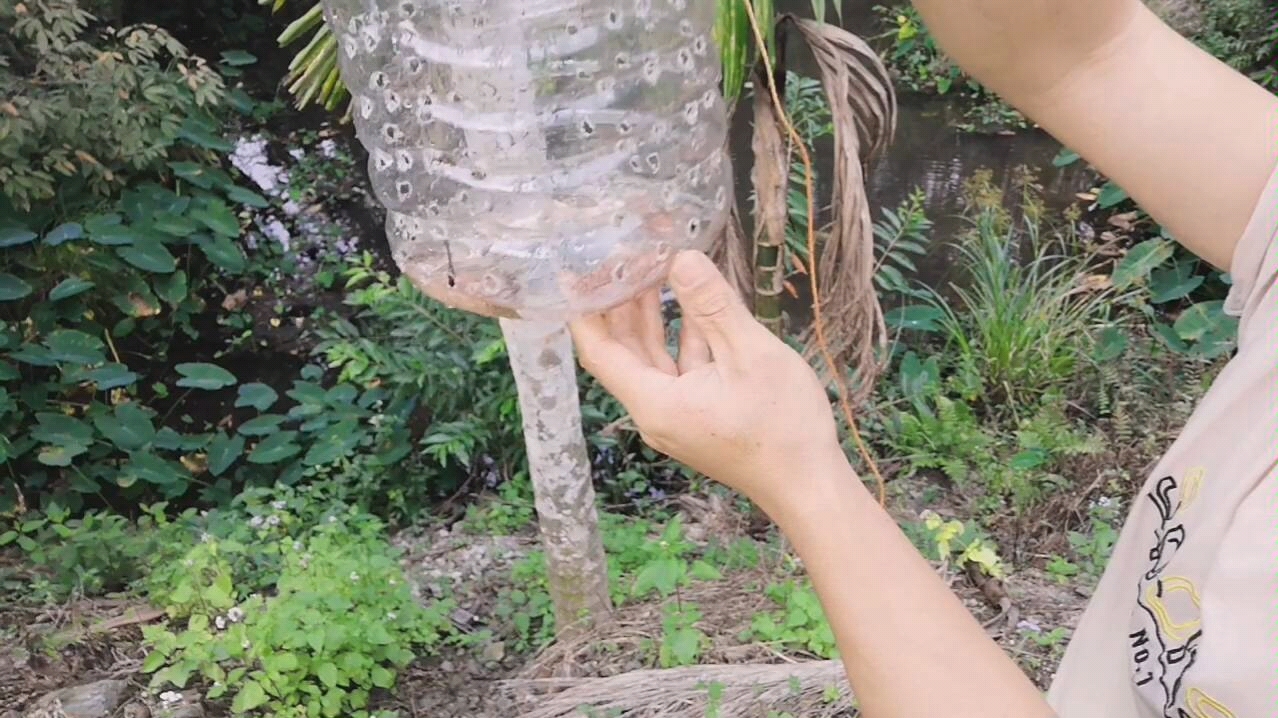 废旧食用油桶不要扔,教你制作简易捕鱼器,回味儿时的童年.