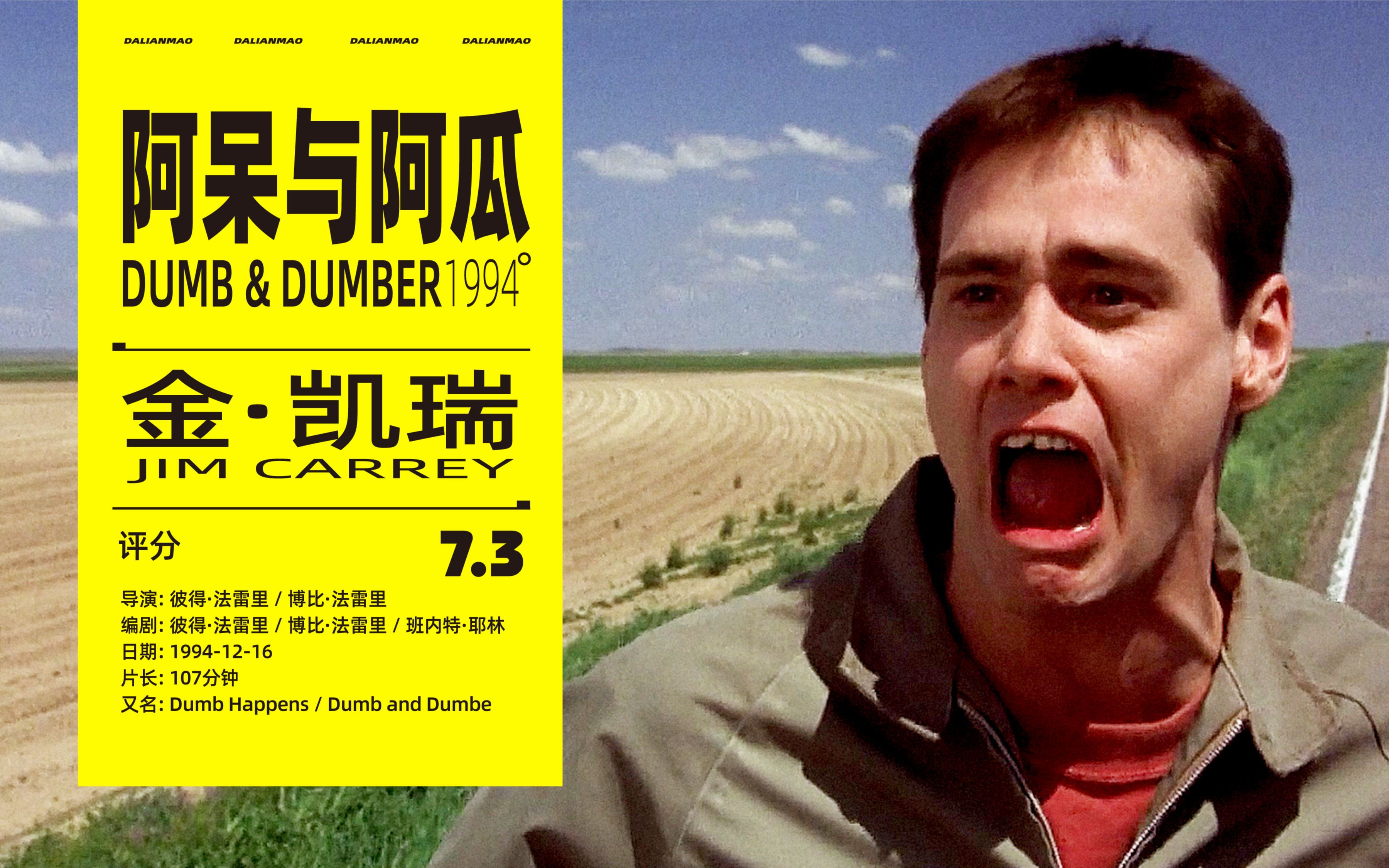 你永远不会懂沙雕世界有多欢乐金凯瑞经典喜剧阿呆与阿瓜看完以后你会