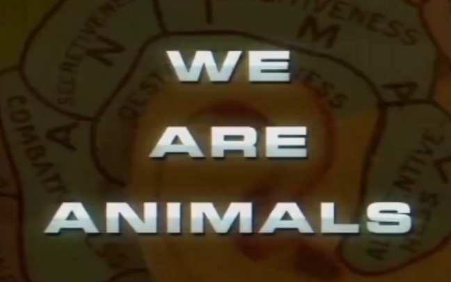 腐剧《我们都是动物/We are animals》哔哩哔哩bilibili