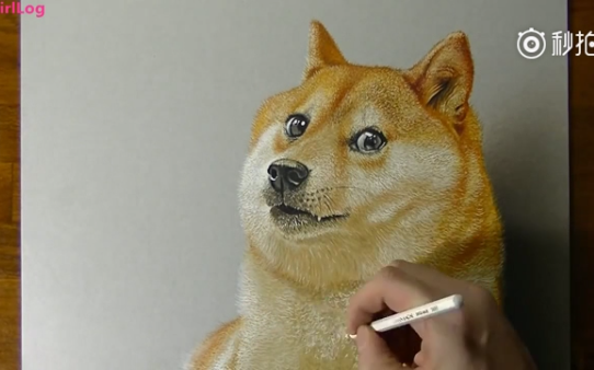 绘画一只立体感十足的“doge”哔哩哔哩bilibili