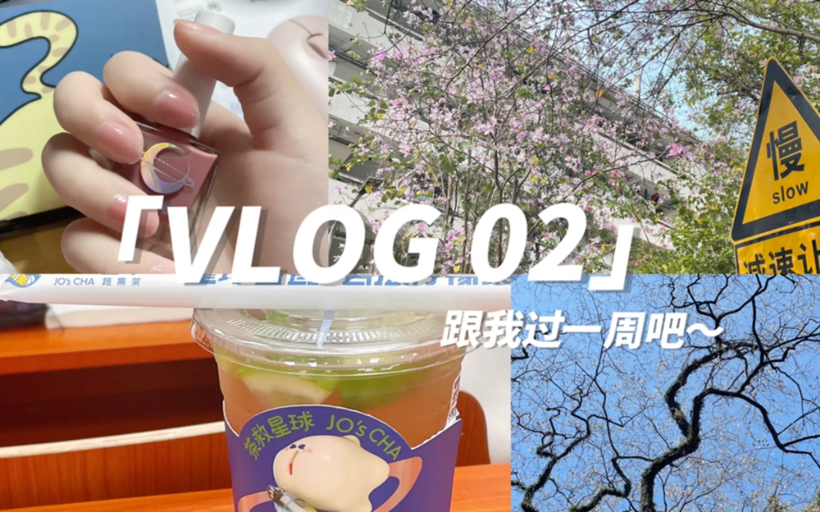 [图]【Vlog in SYSU 02】跟我过一周吧～｜花花和落叶交织的季节｜充实的学习生活