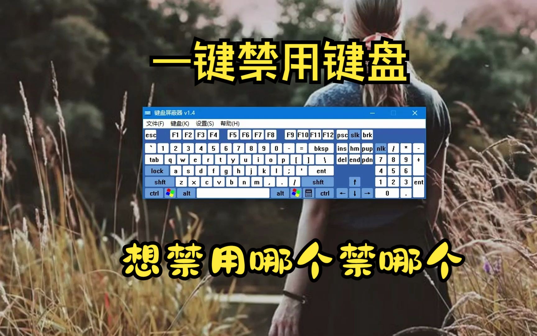 电脑键盘按键禁用神器~~~哔哩哔哩bilibili