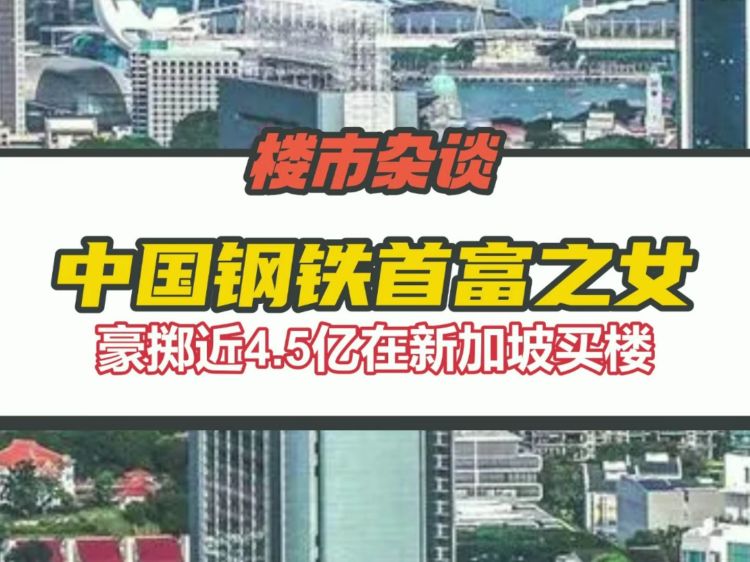 中国钢铁首富项光达之女项阳阳,豪掷近4.5亿在新加坡购买顶级洋房哔哩哔哩bilibili