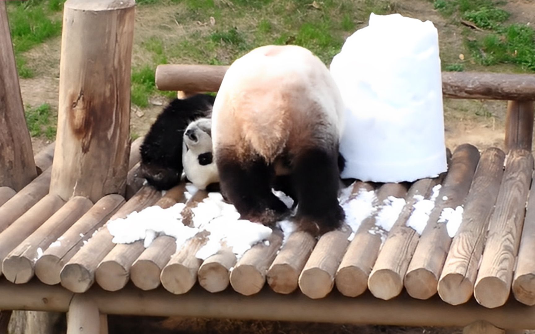 [图]乐宝冬天里的一桶雪