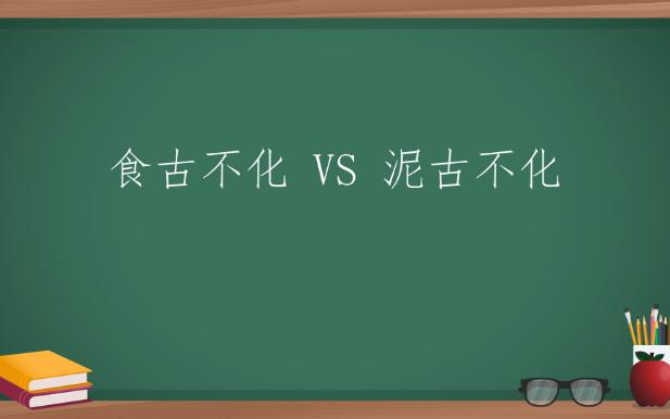 每天一分钟,积累一组成语 ▎食古不化VS泥古不化哔哩哔哩bilibili