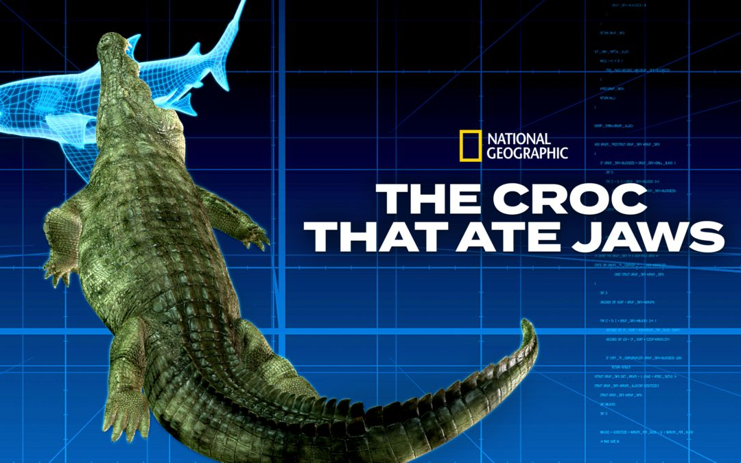 com  41秒狂妄之鲨www.bilibili.com  22秒未来世界的动物:荧光狂鲨.