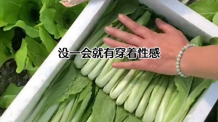 每日分享哔哩哔哩bilibili