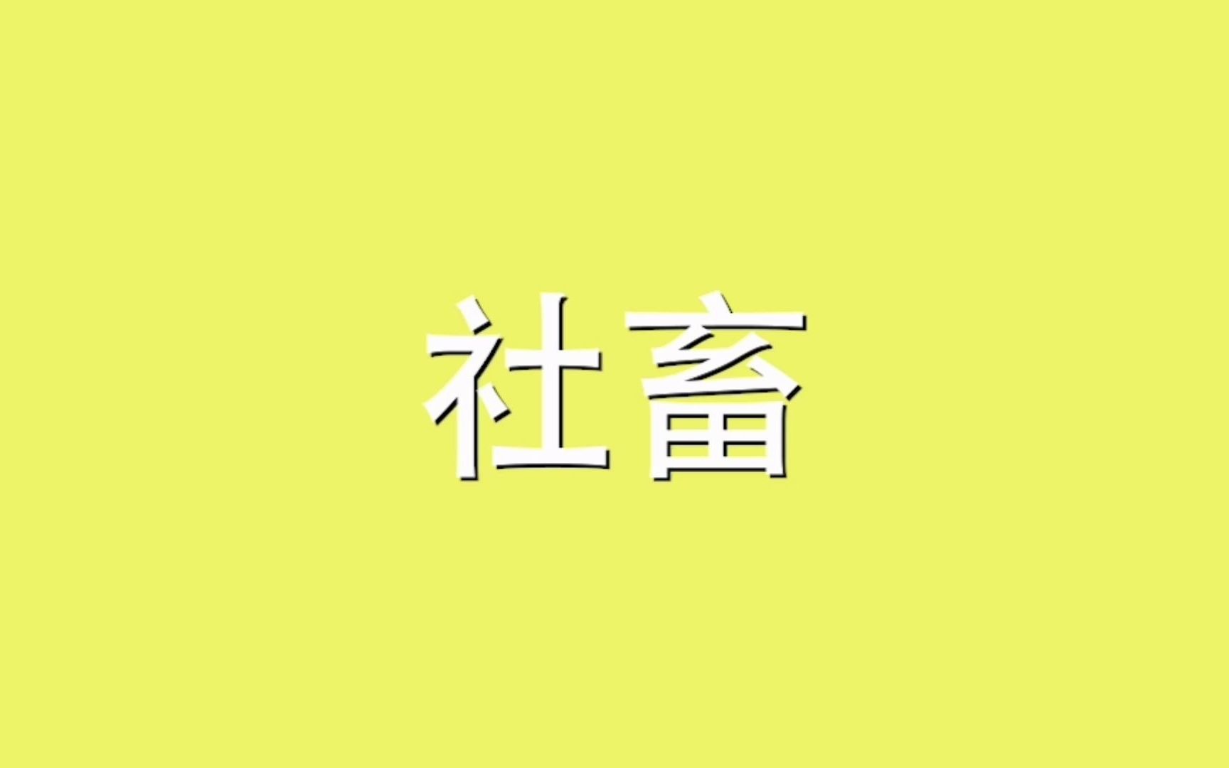 社畜是什么梗?哔哩哔哩bilibili