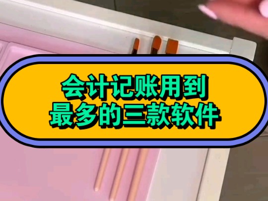 会计记账用到最多的软件 2024财务核算软件排行榜哔哩哔哩bilibili