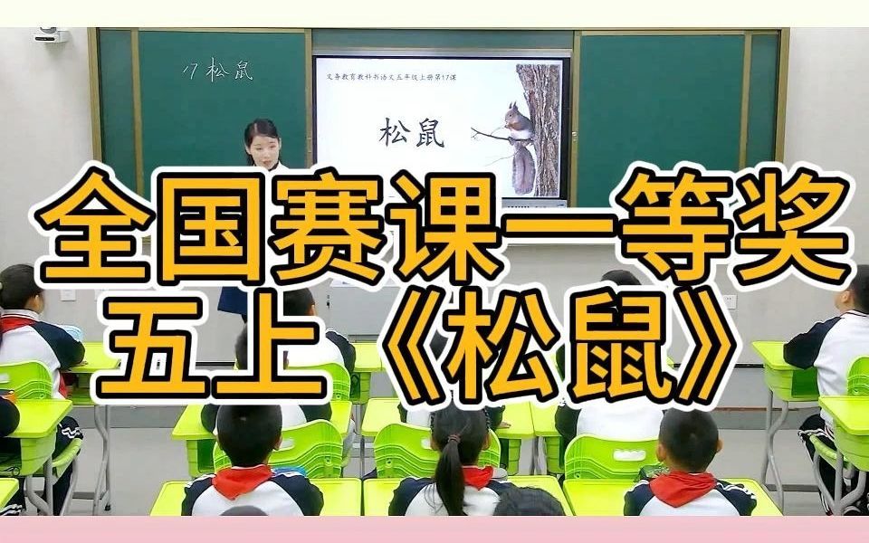 全国赛课一等奖 五上《松鼠》公开课教学实录(有课件教案)哔哩哔哩bilibili