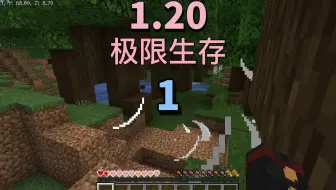 【极限】MC1.20极限生存1