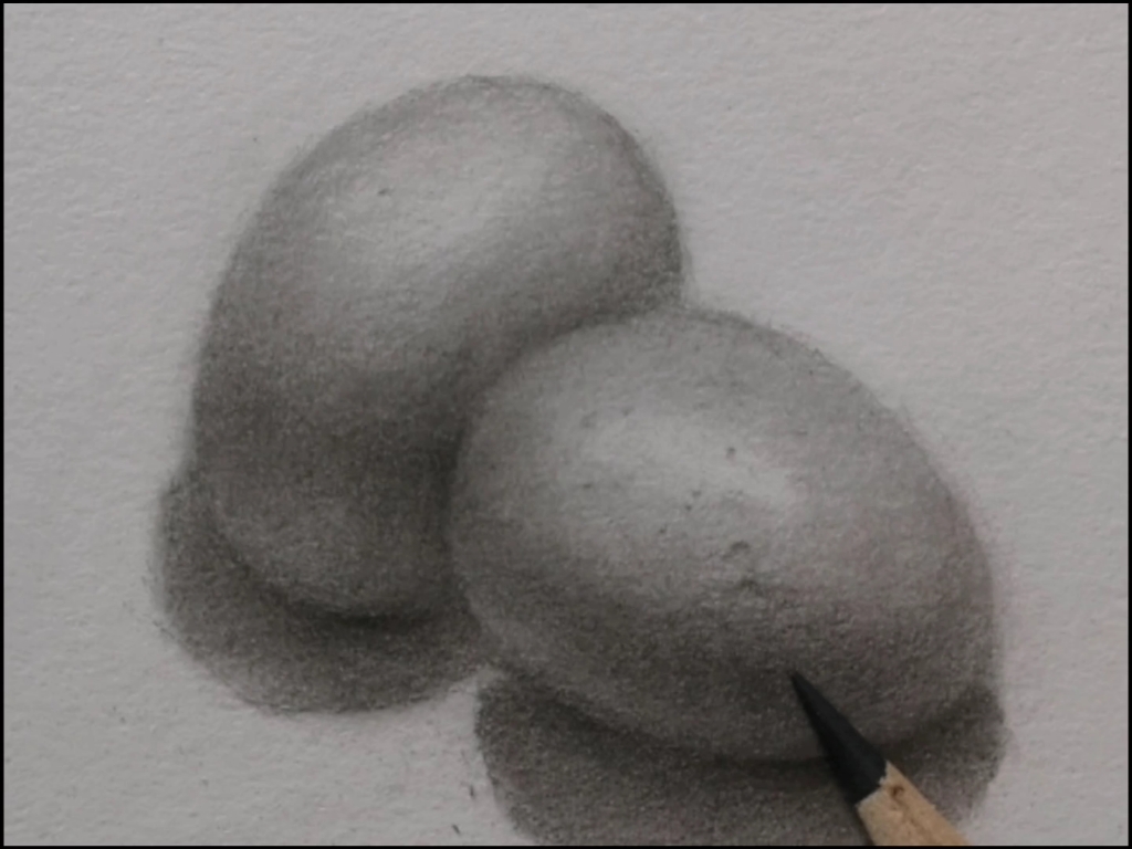 素描鸡蛋绘画教学