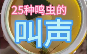 Download Video: 你喜欢哪一种虫的叫声？