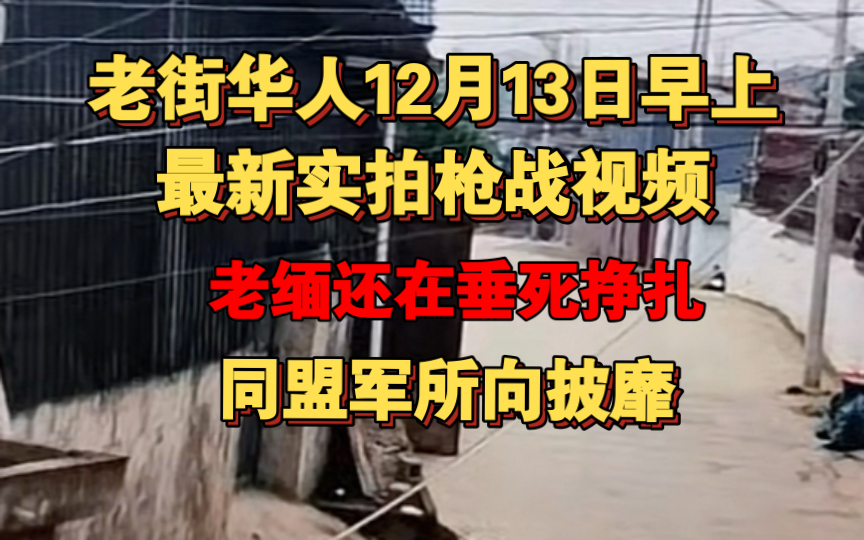 老街华人12月13日实拍真实素材!今早主城区密集的枪战!缅军最后的挣扎哔哩哔哩bilibili