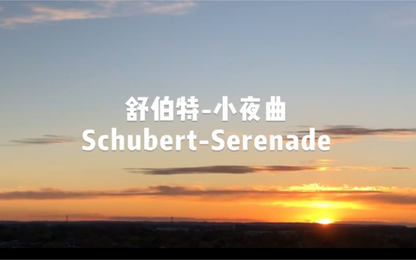 舒伯特小夜曲 SchubertSerenade【世界名曲】哔哩哔哩bilibili