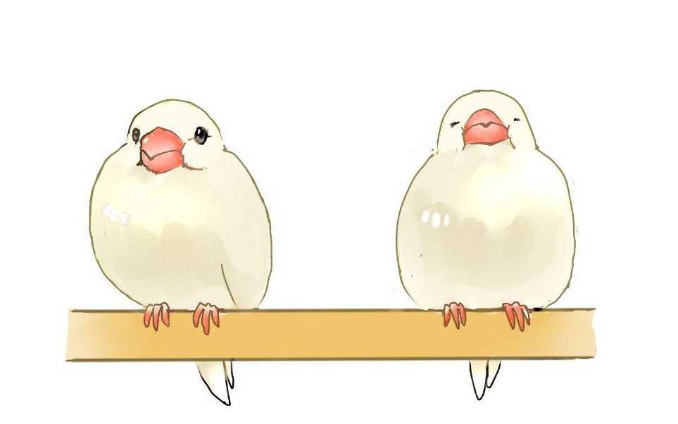 【文鸟】吃嘛嘛香的日常_哔哩哔哩_bilibili