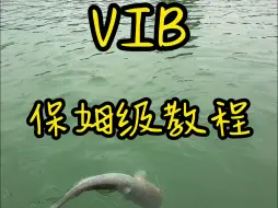 Download Video: 路亚VIB从选铒挂铒到实战保姆级教程