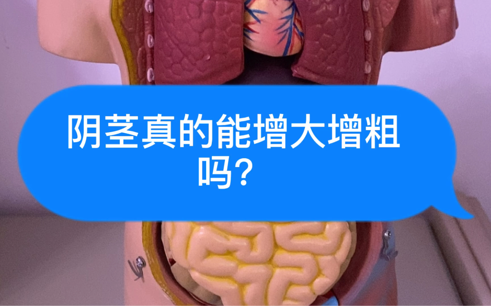 增大增粗膏真的可取吗?哔哩哔哩bilibili